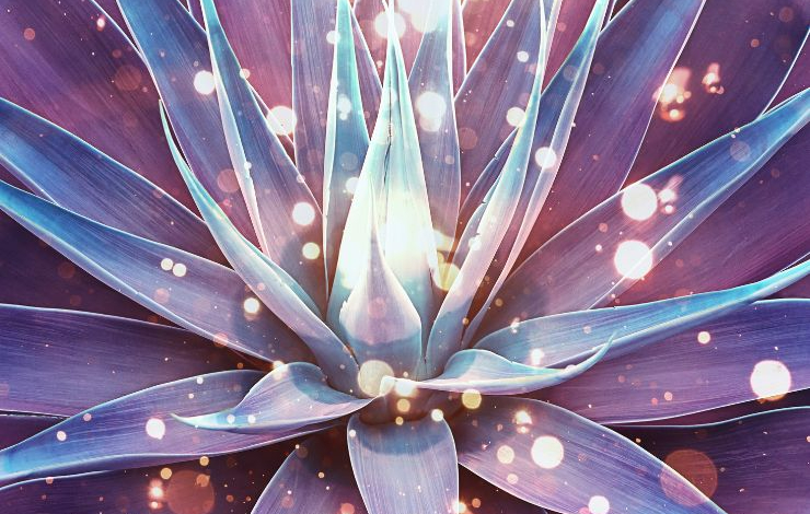 "Esmalarla ve Kadim Bilgilerle Doğum Haritası Şifalandırma