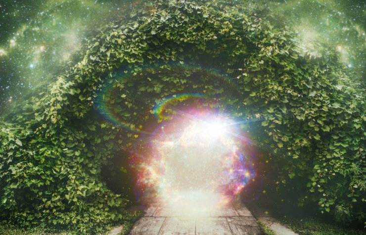 JEAN ADRIENNE ARINMA SİSTEMİ NEDİR? HİZMETİM HAKKINDA AYRINTILI BİLGİ- DANIŞMANLIKLARIM